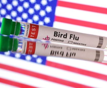 Avian Flu Virus Survives Pasteurization Process